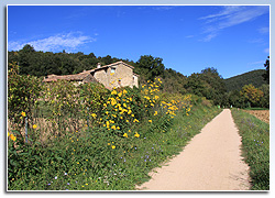 Sant Feliu de Pallerols